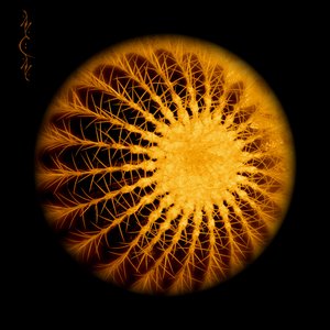Image for 'Your Cell:Yourself'