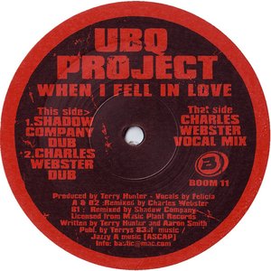 When I Fell In Love (2002 Rmx)