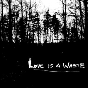 Love Is a Waste