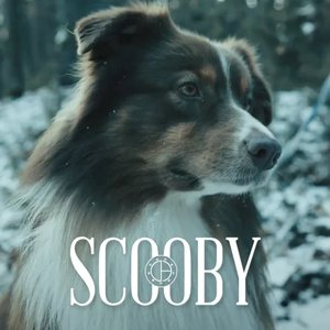 Scooby (Radio Edit)