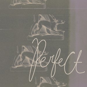Perfect