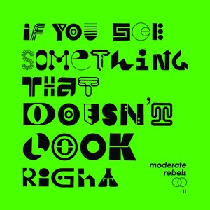 If You See Something That Doesn't Look Right: II