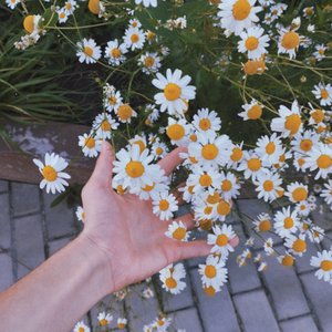 мой милый официант