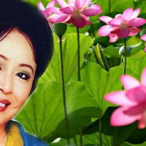 NSND Thu Hiền 的头像