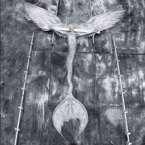 Angel's Egg - Single