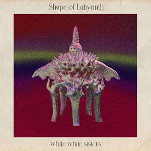 Shape Of Labyrinth
