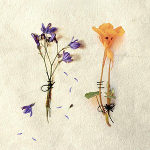 Que Vuelva la Primavera