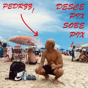 Desce Pix, Sobe Pix - Single