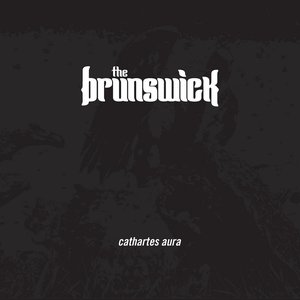 Cathartes Aura