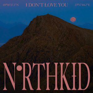 I Don't Love You - Single