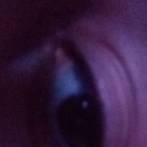 BIG Moyai 的头像