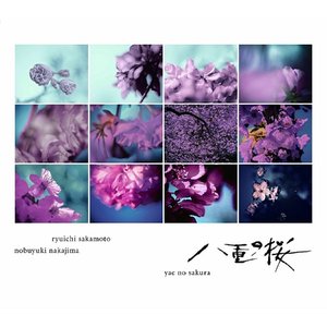 NHK大河ドラマ「八重の桜」- オリジナル・サウンドトラック コンプリート盤