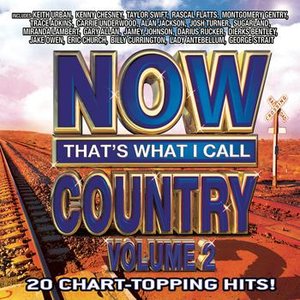 NOW That's What I Call Country Vol. 2