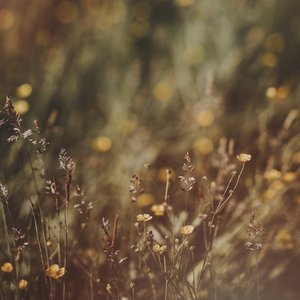 Longings