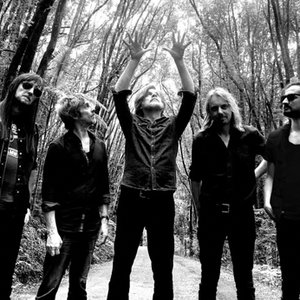 Tex Perkins and the Fat Rubber Band 的头像