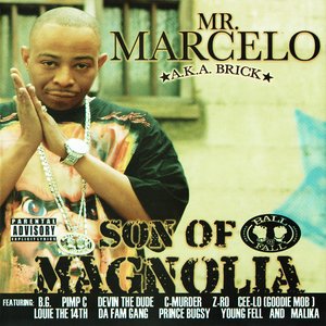 Son Of Magnolia