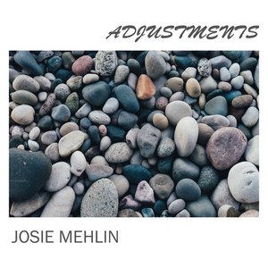 Adjustments