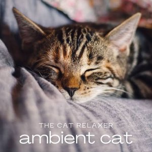 Avatar for The Cat Relaxer