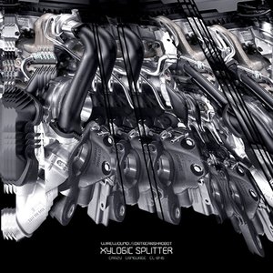 Xylogic Splitter