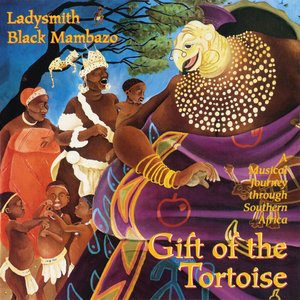 Image for 'Gift Of The Tortoise: A Musical Journey Through Southern Africa'