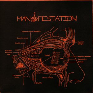 Manifestation