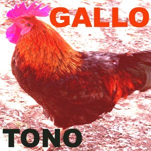 Tono Gallo