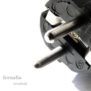 “Fernalia”的封面