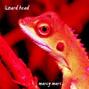 Lizard Head