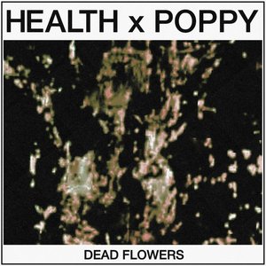 DEAD FLOWERS - Single