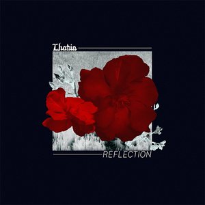 Reflection