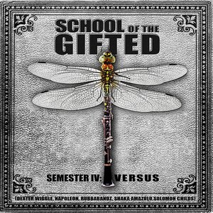 Semester IV : Versus