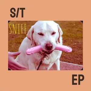 S/T