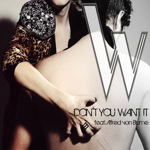 DON'T YOU WANT IT (feat. Alfred von Blume)