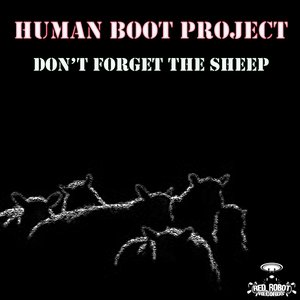 Don't Forget the Sheep