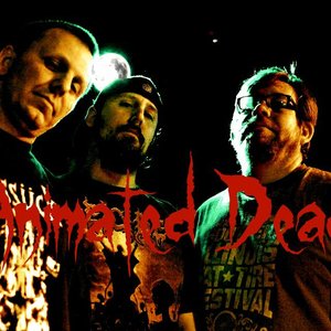 Animated Dead 的头像