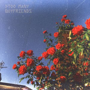 Too Many Boyfriends - Single