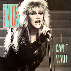 Stevie Nicks - I Can