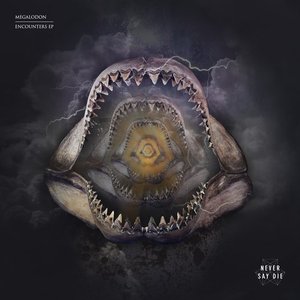 Avatar for Megalodon & Virtual Riot