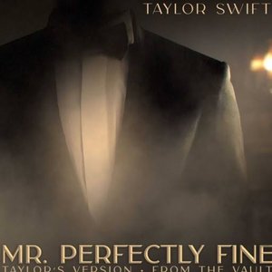 Mr. Perfectly Fine