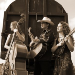 Brock And The Brockettes 的头像