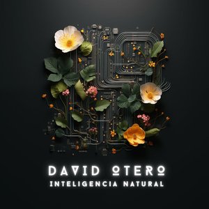 INTELIGENCIA NATURAL