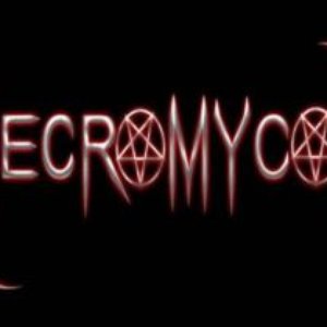 “Necromycon”的封面