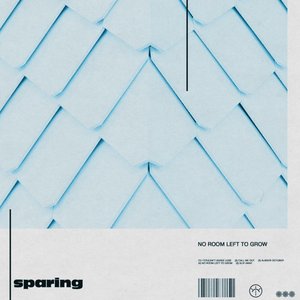 No Room Left to Grow - EP
