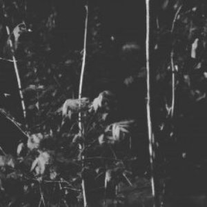 Marsh Dweller 的头像