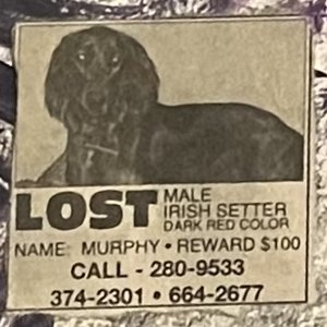 LOST