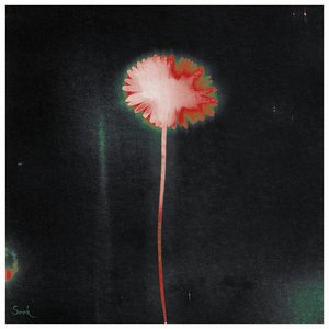 Seek - Single