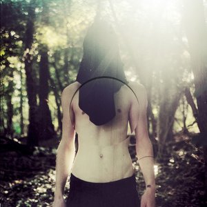 Black Sea of Trees 的头像