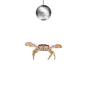 Crabwalk