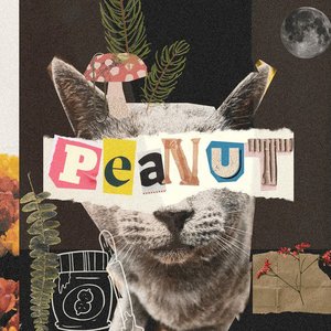 Peanut