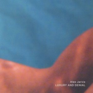 “luxury and denial”的封面